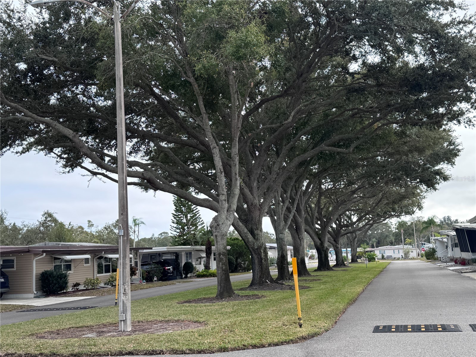 2331 Belleair Road #715 Clearwater FL 33764 TB8458209 image38