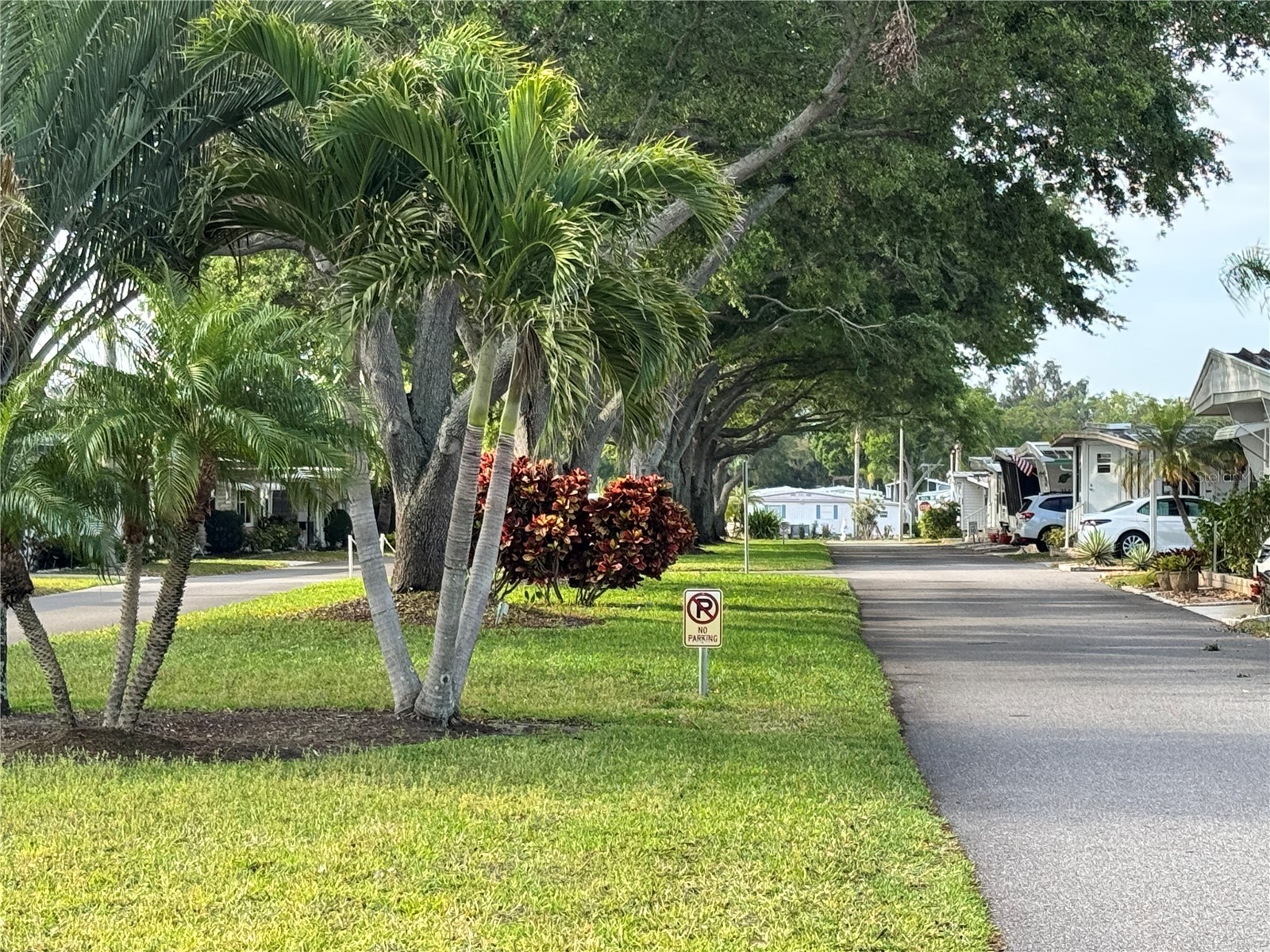 2331 Belleair Road #804 Clearwater FL 33764 TB8462618 image29