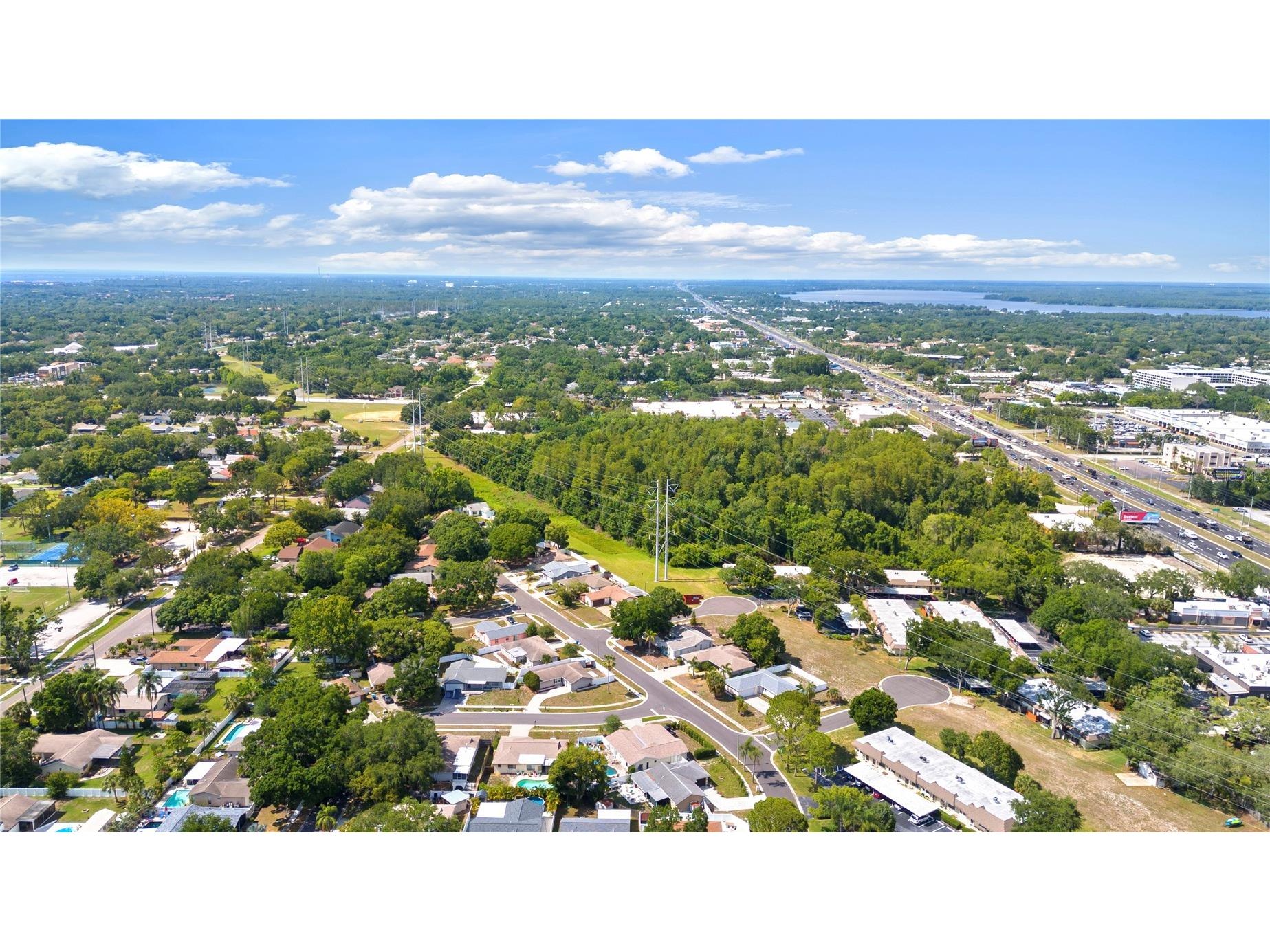 2331 Newton Drive Palm Harbor FL 34683 TB8508215 image37
