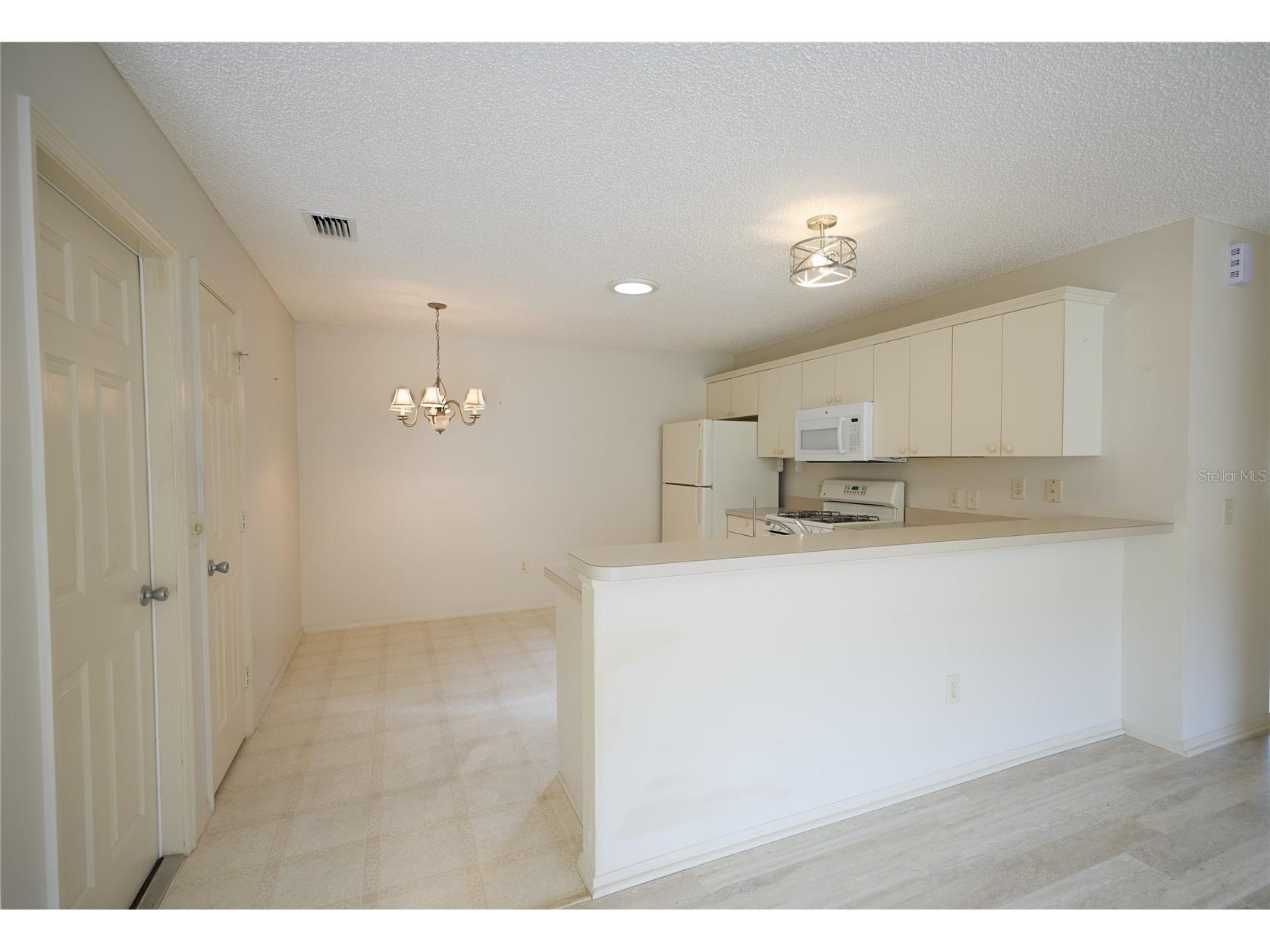 2331 Riley Road The Villages FL 32162 O6412538 image5