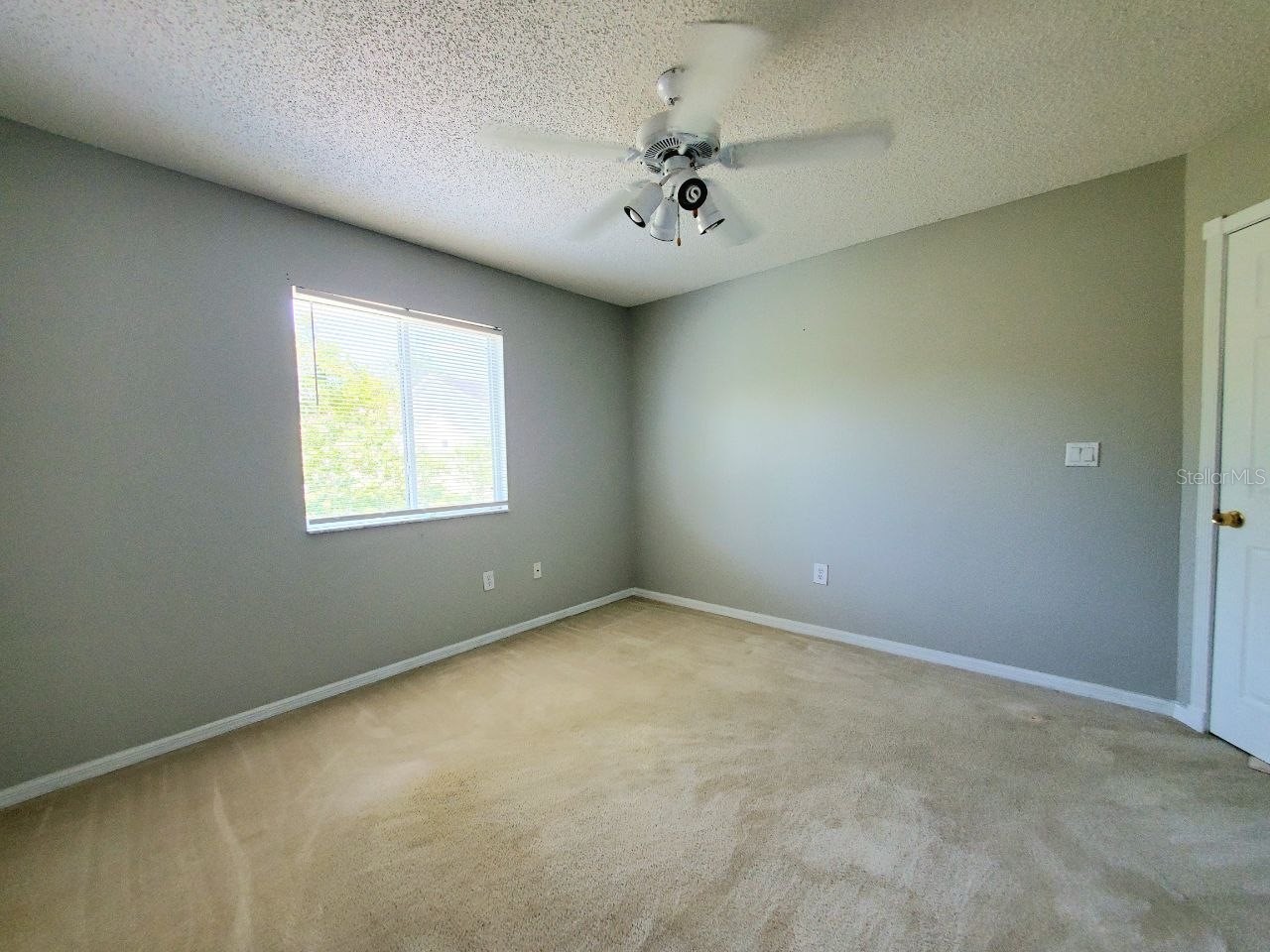 2331 Rothenfeld Court Land O Lakes FL 34639 TB8532072 image29