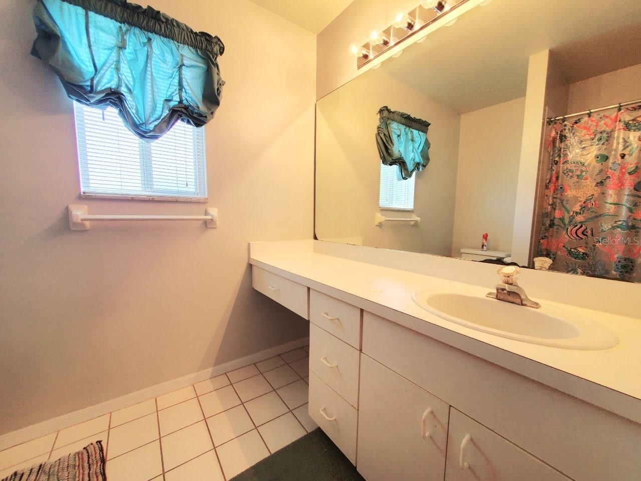 2331 Rothenfeld Court Land O Lakes FL 34639 TB8532072 image33