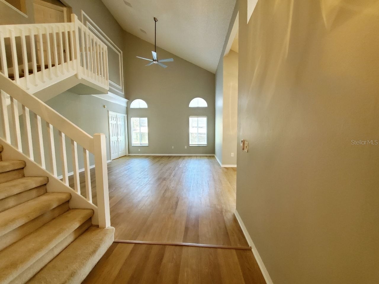 2331 Rothenfeld Court Land O Lakes FL 34639 TB8532072 image39