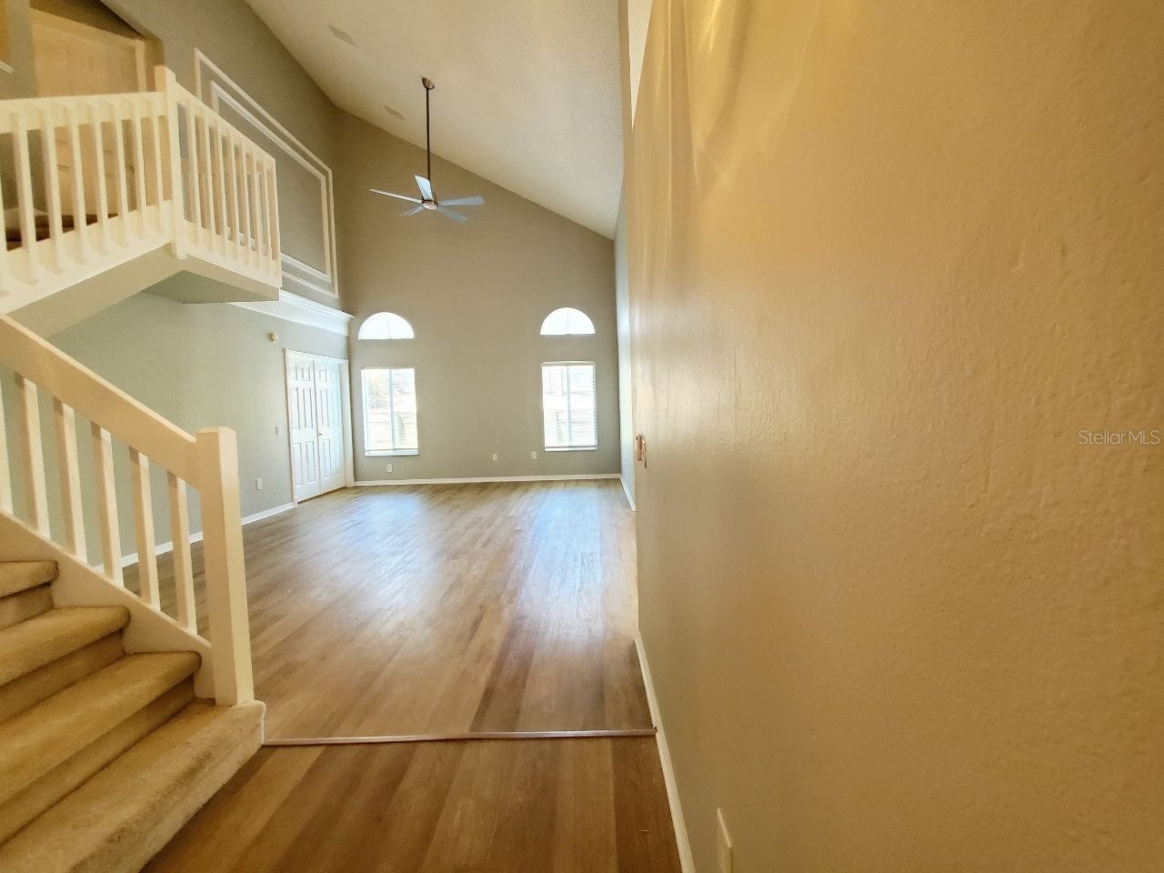 2331 Rothenfeld Court Land O Lakes FL 34639 TB8532072 image6