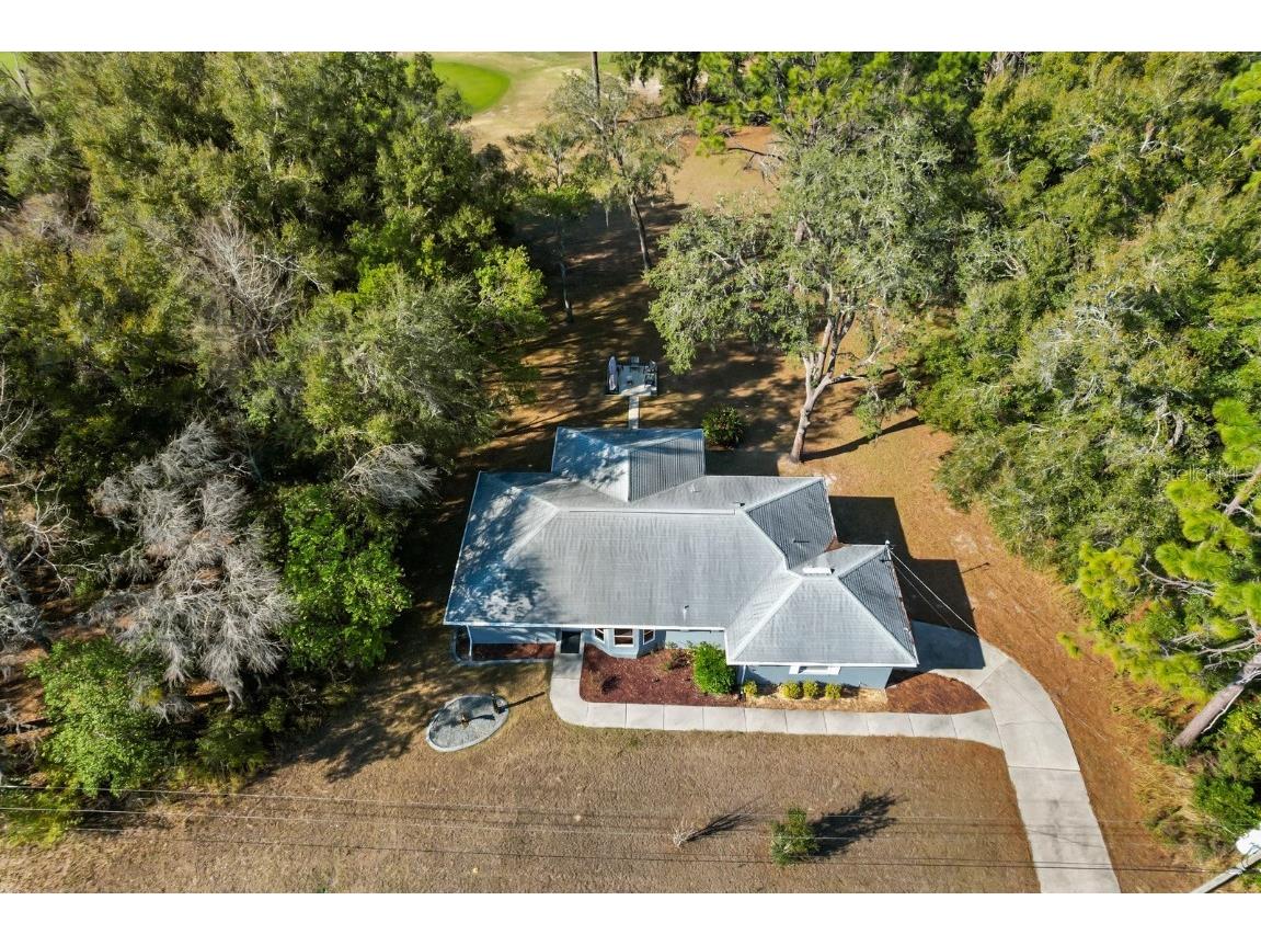 2331 W Dolphin Drive Citrus Springs FL 34434 TB8349518 image1