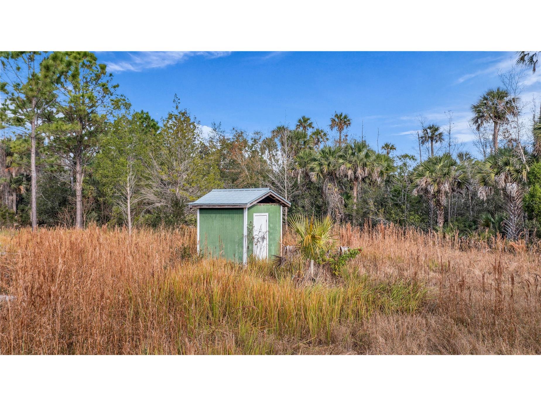 2331 Waccassa St Geneva FL 32732 O6371739 image11