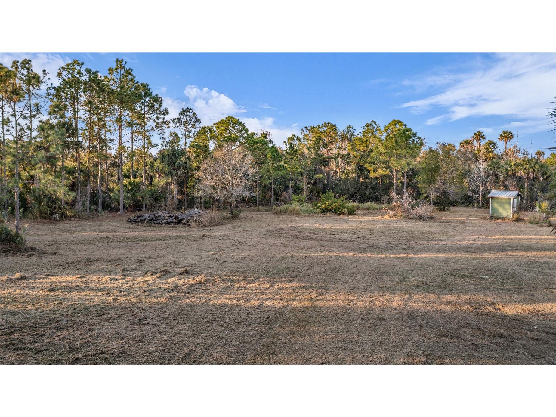 2331 Waccassa St Geneva FL 32732 O6371739 image24