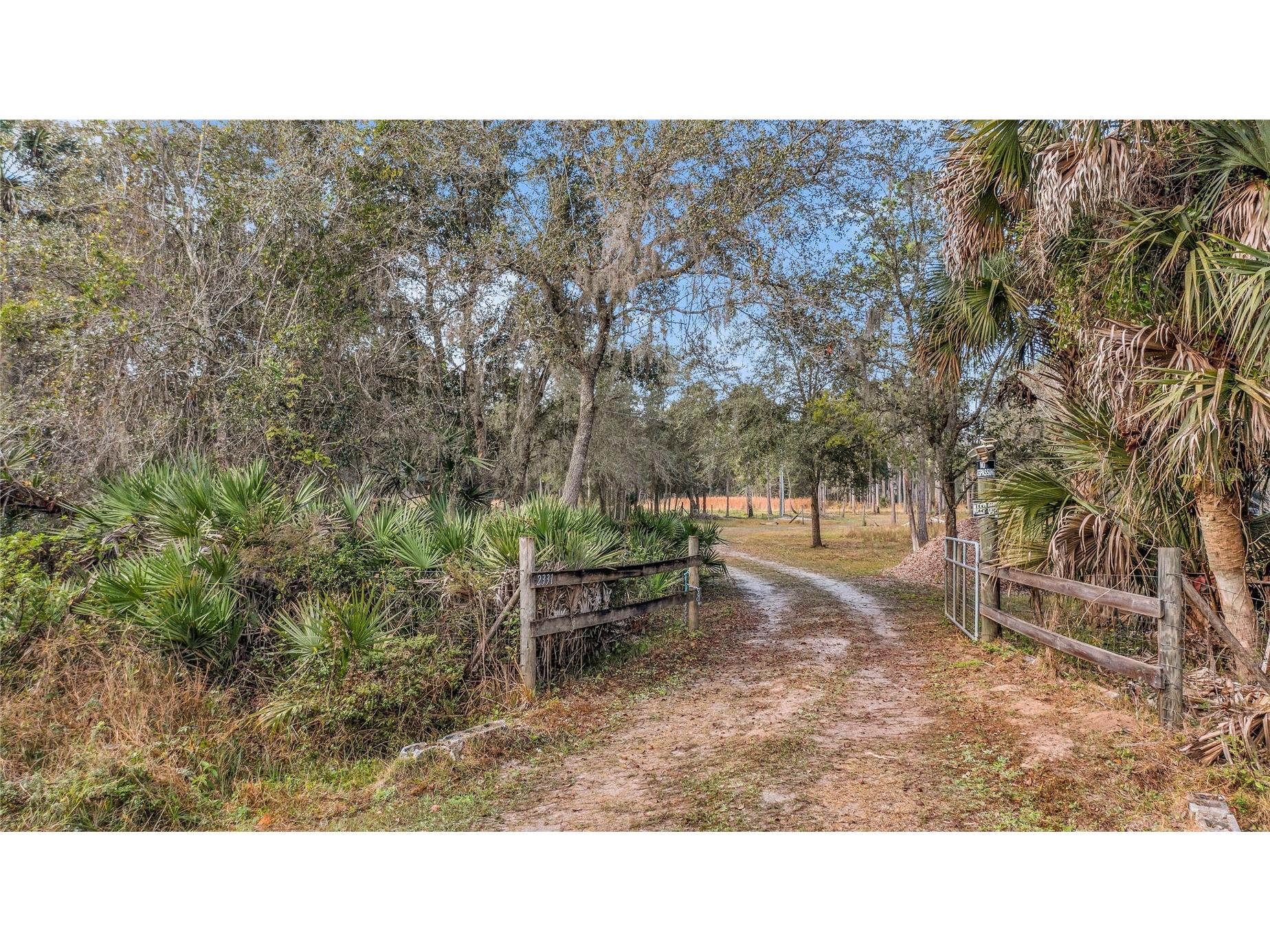 2331 Waccassa St Geneva FL 32732 O6371739 image3