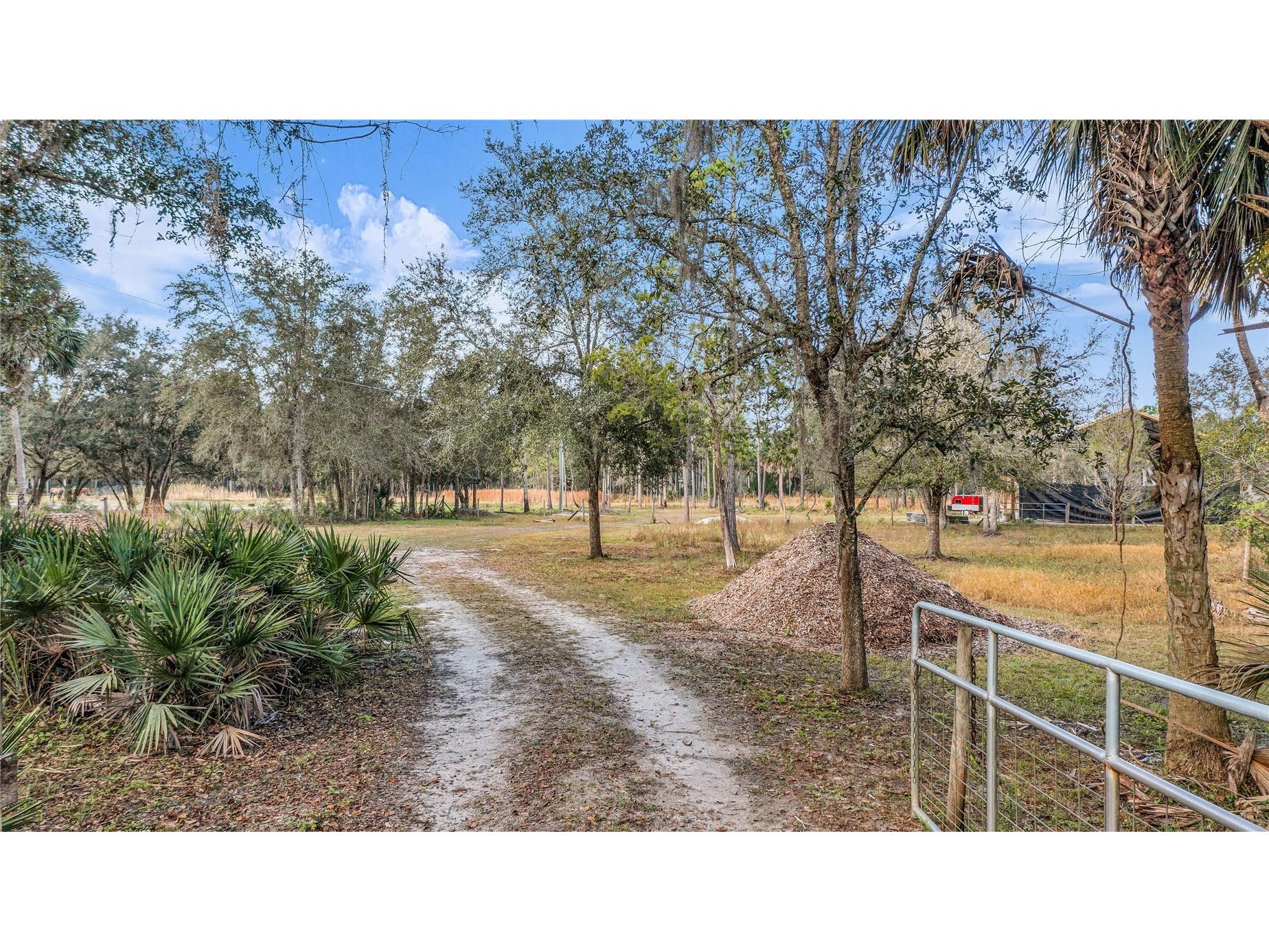 2331 Waccassa St Geneva FL 32732 O6371739 image5