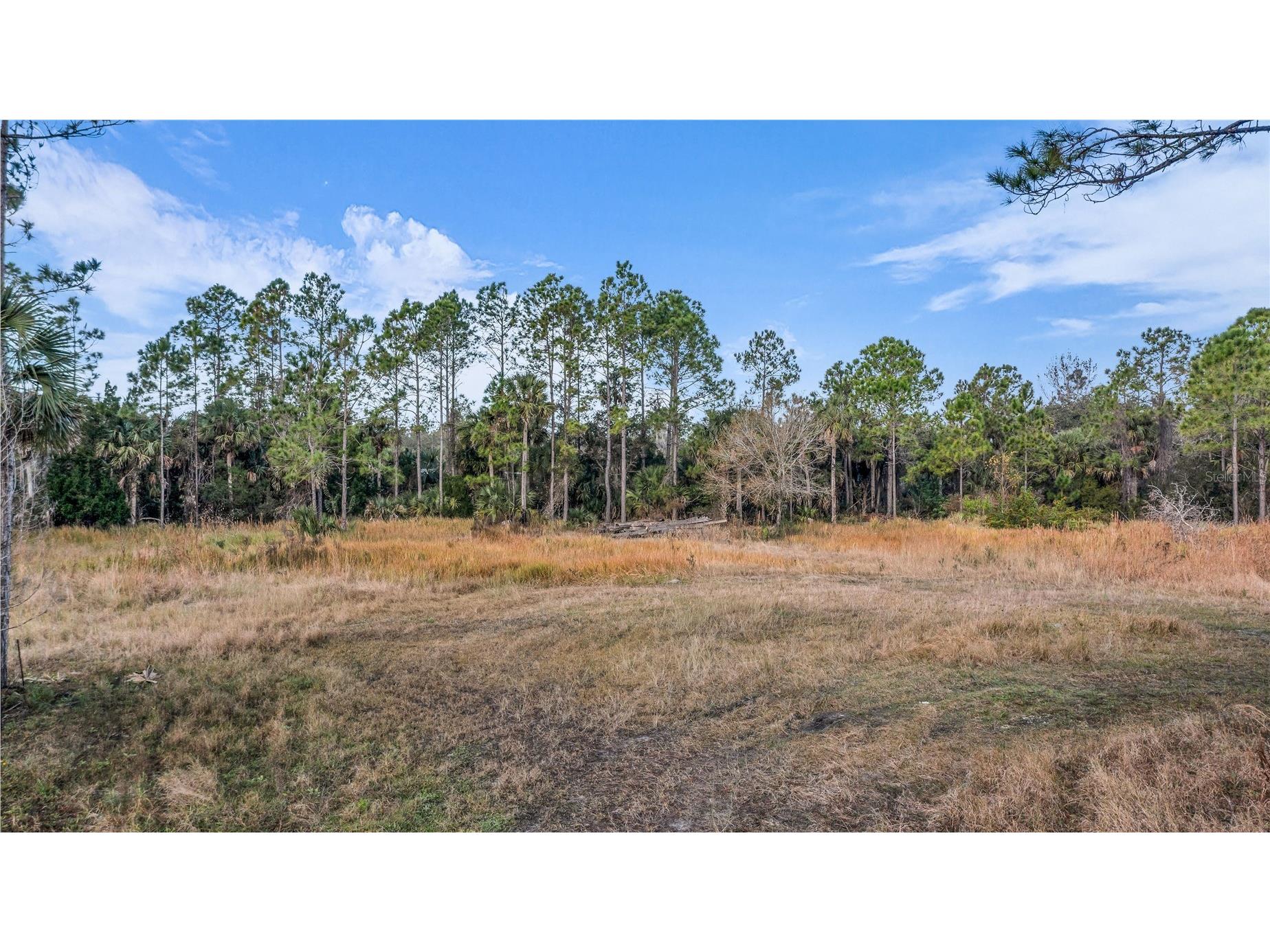 2331 Waccassa St Geneva FL 32732 O6371739 image6