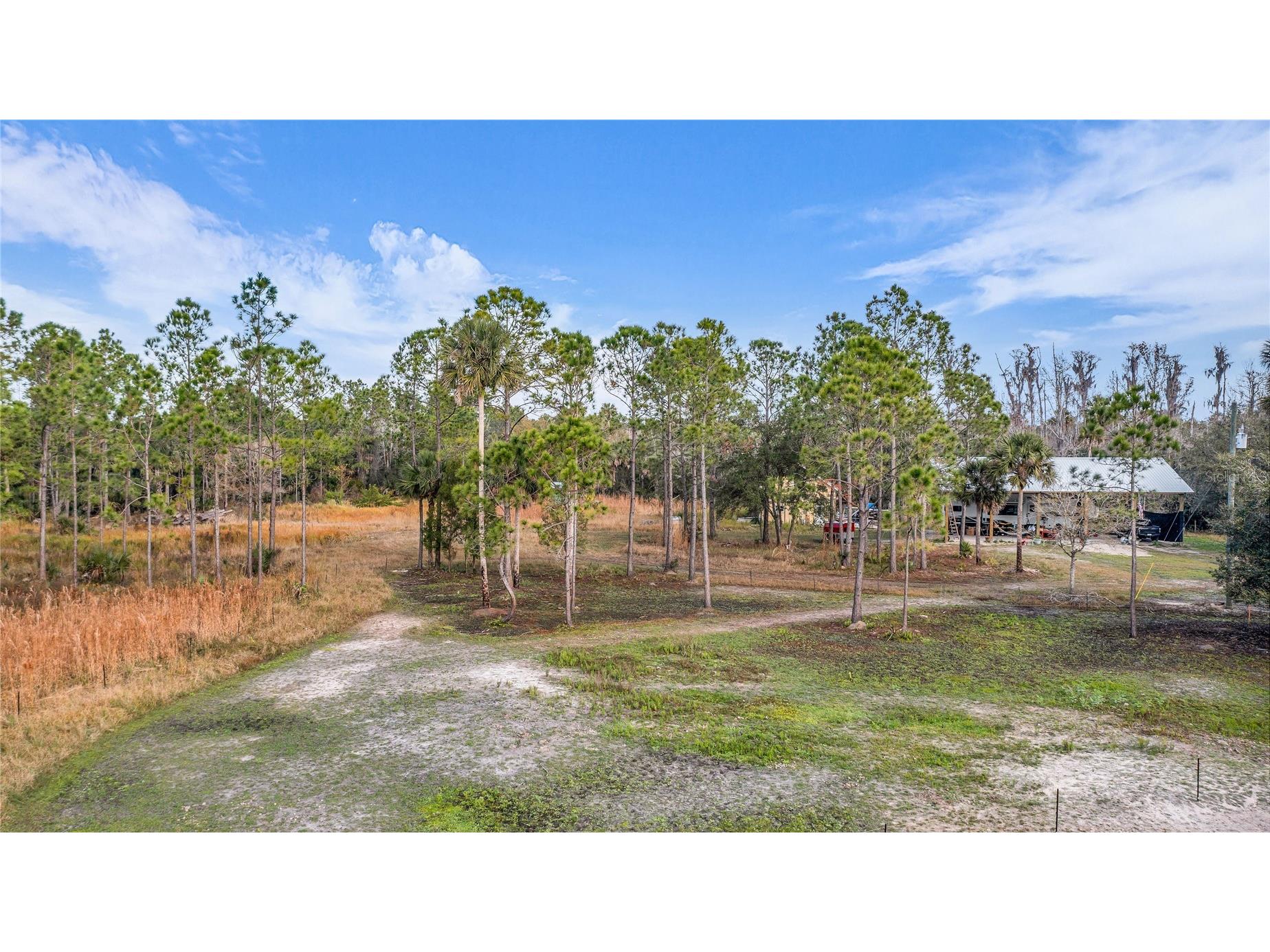 2331 Waccassa St Geneva FL 32732 O6371739 image7