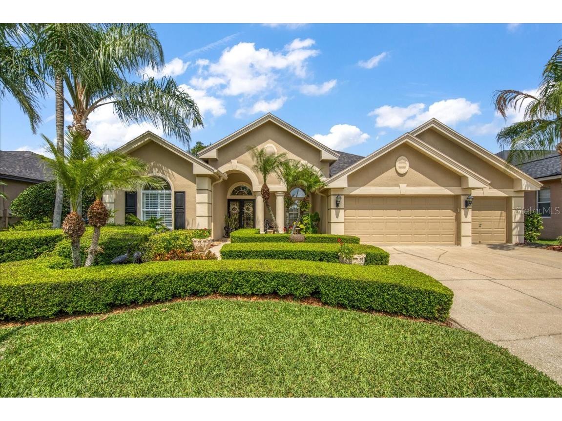 23313 Gracewood Circle Land O Lakes FL 34639 T3515373 image1