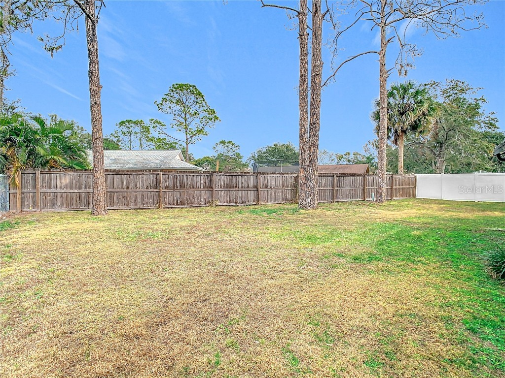 23315 Charlston Place Land O Lakes FL 34639 TB8334354 image52
