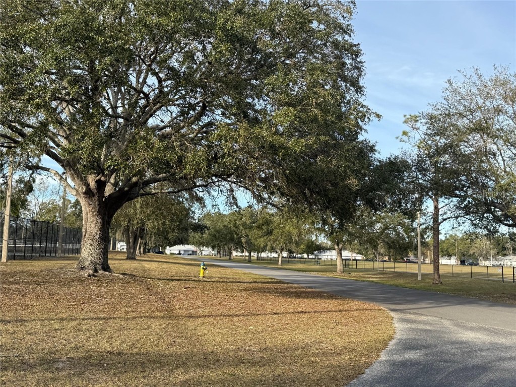 23315 Charlston Place Land O Lakes FL 34639 TB8334354 image62