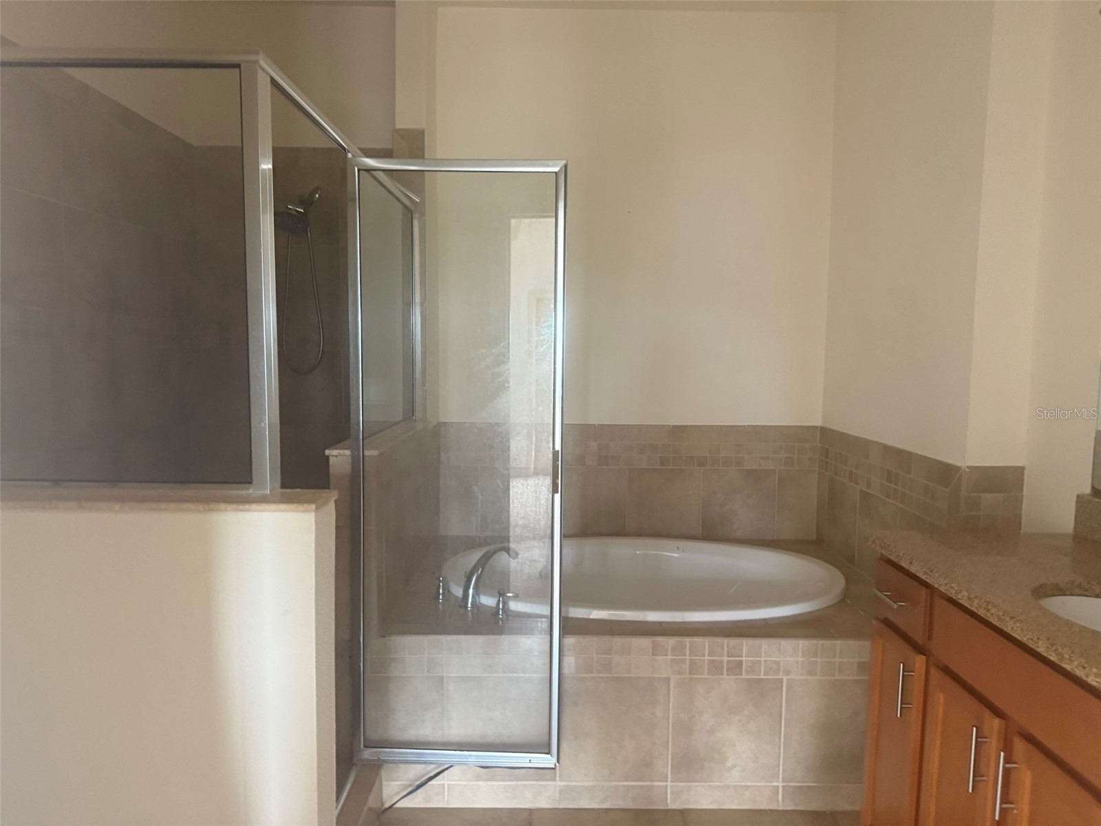 2332 Bella Vista Drive Davenport FL 33897 TB8475461 image10