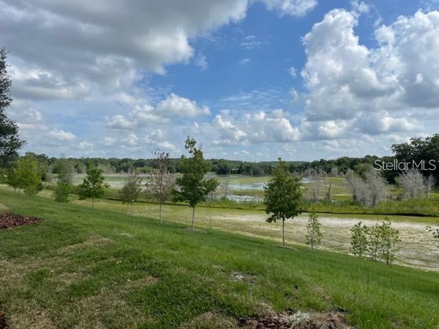 2332 Litchfield Loop Deland FL 32720 O6362713 image13