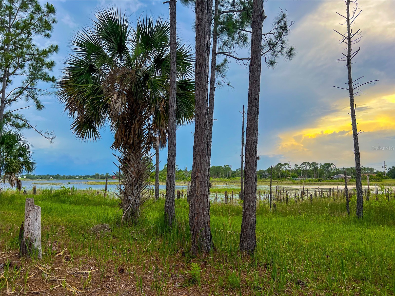 2332 Mitchell Island Road Deltona FL 32738 - DUPONT LAKE S5150914 image10