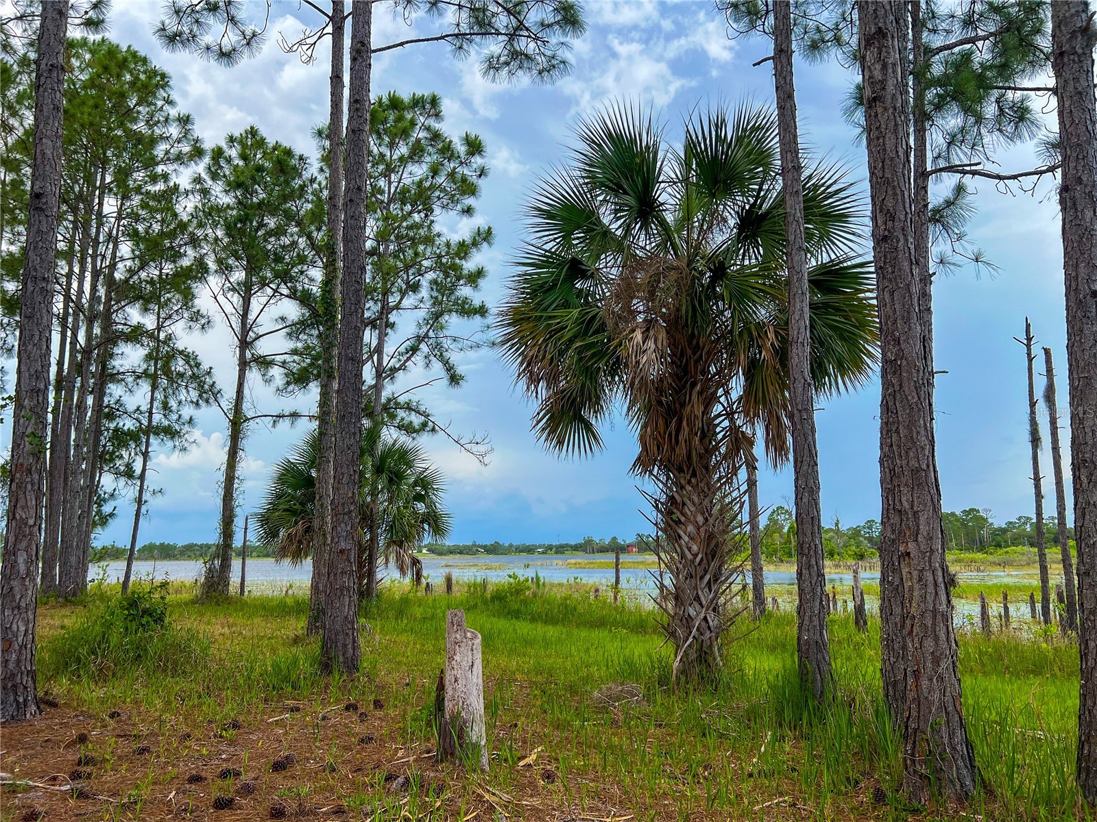 2332 Mitchell Island Road Deltona FL 32738 - DUPONT LAKE S5150914 image11