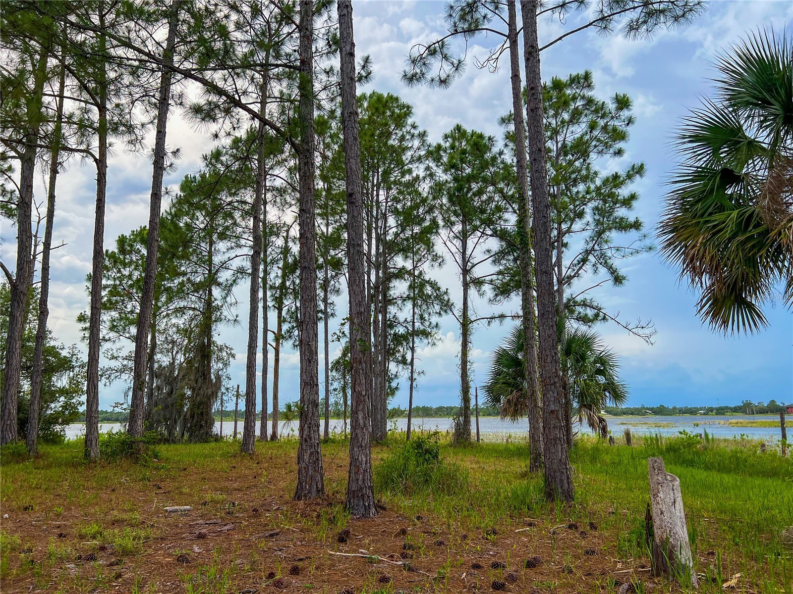 2332 Mitchell Island Road Deltona FL 32738 - DUPONT LAKE S5150914 image12