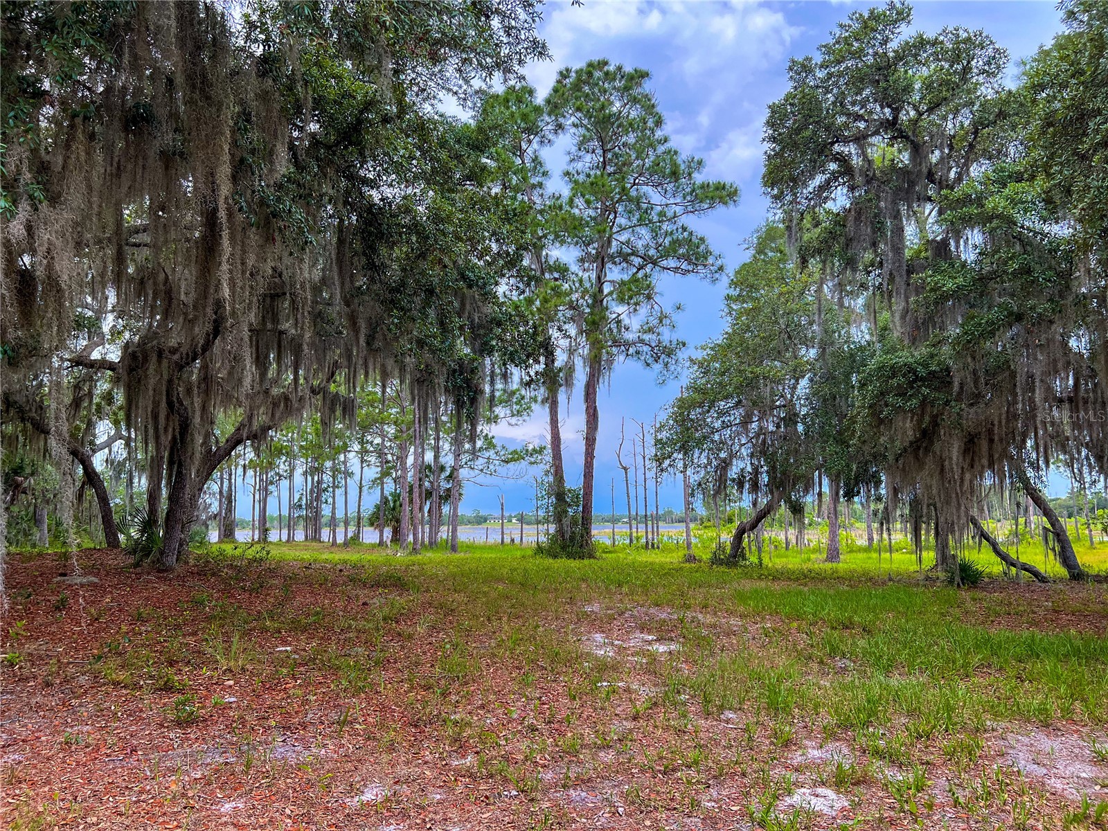 2332 Mitchell Island Road Deltona FL 32738 - DUPONT LAKE S5150914 image13
