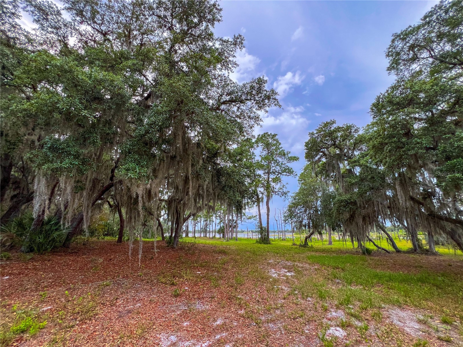 2332 Mitchell Island Road Deltona FL 32738 - DUPONT LAKE S5150914 image14