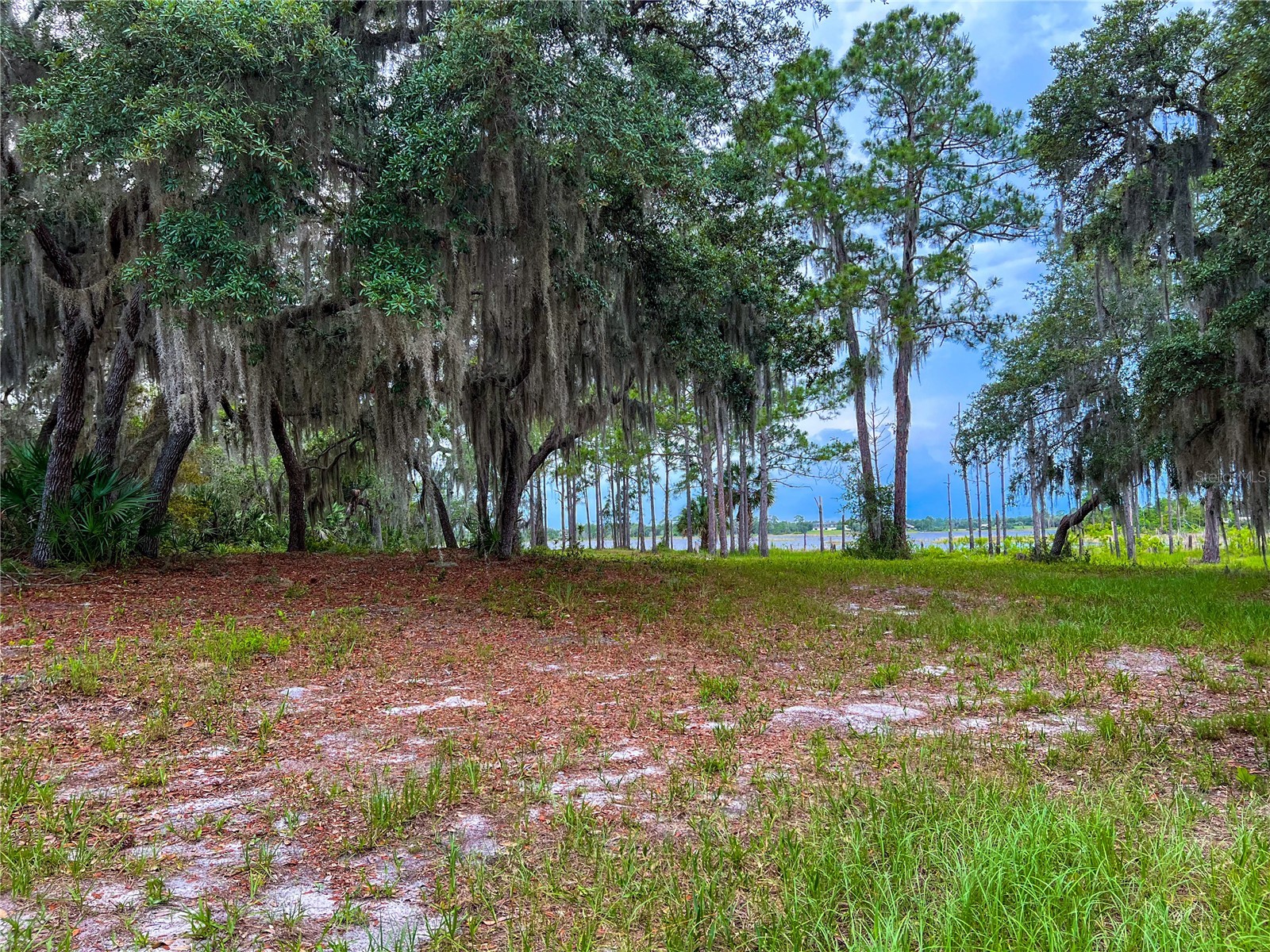 2332 Mitchell Island Road Deltona FL 32738 - DUPONT LAKE S5150914 image15