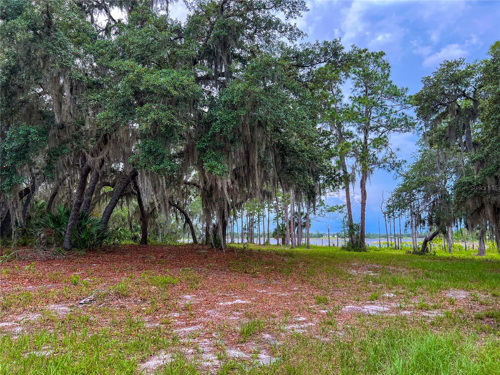2332 Mitchell Island Road Deltona FL 32738 - DUPONT LAKE S5150914 image16