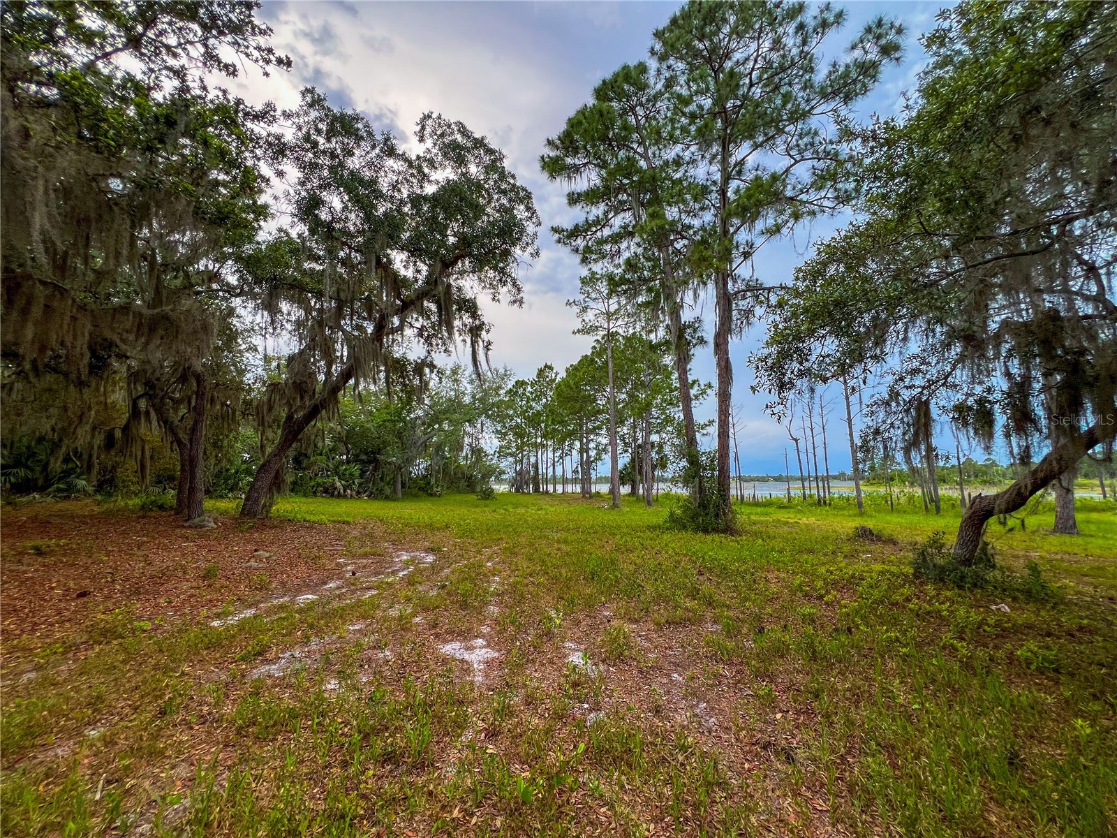 2332 Mitchell Island Road Deltona FL 32738 - DUPONT LAKE S5150914 image3