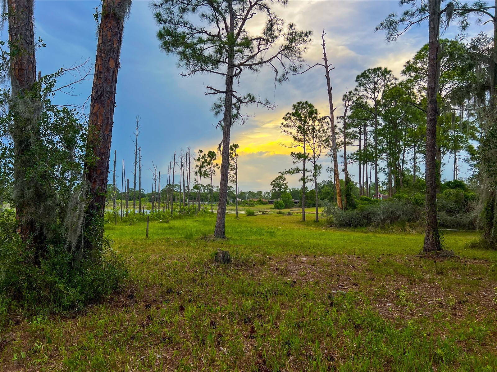 2332 Mitchell Island Road Deltona FL 32738 - DUPONT LAKE S5150914 image4