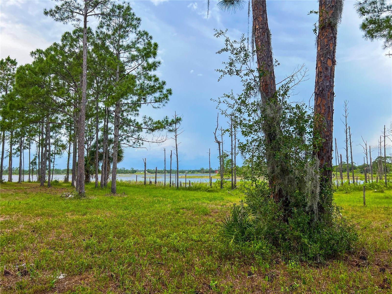 2332 Mitchell Island Road Deltona FL 32738 - DUPONT LAKE S5150914 image5