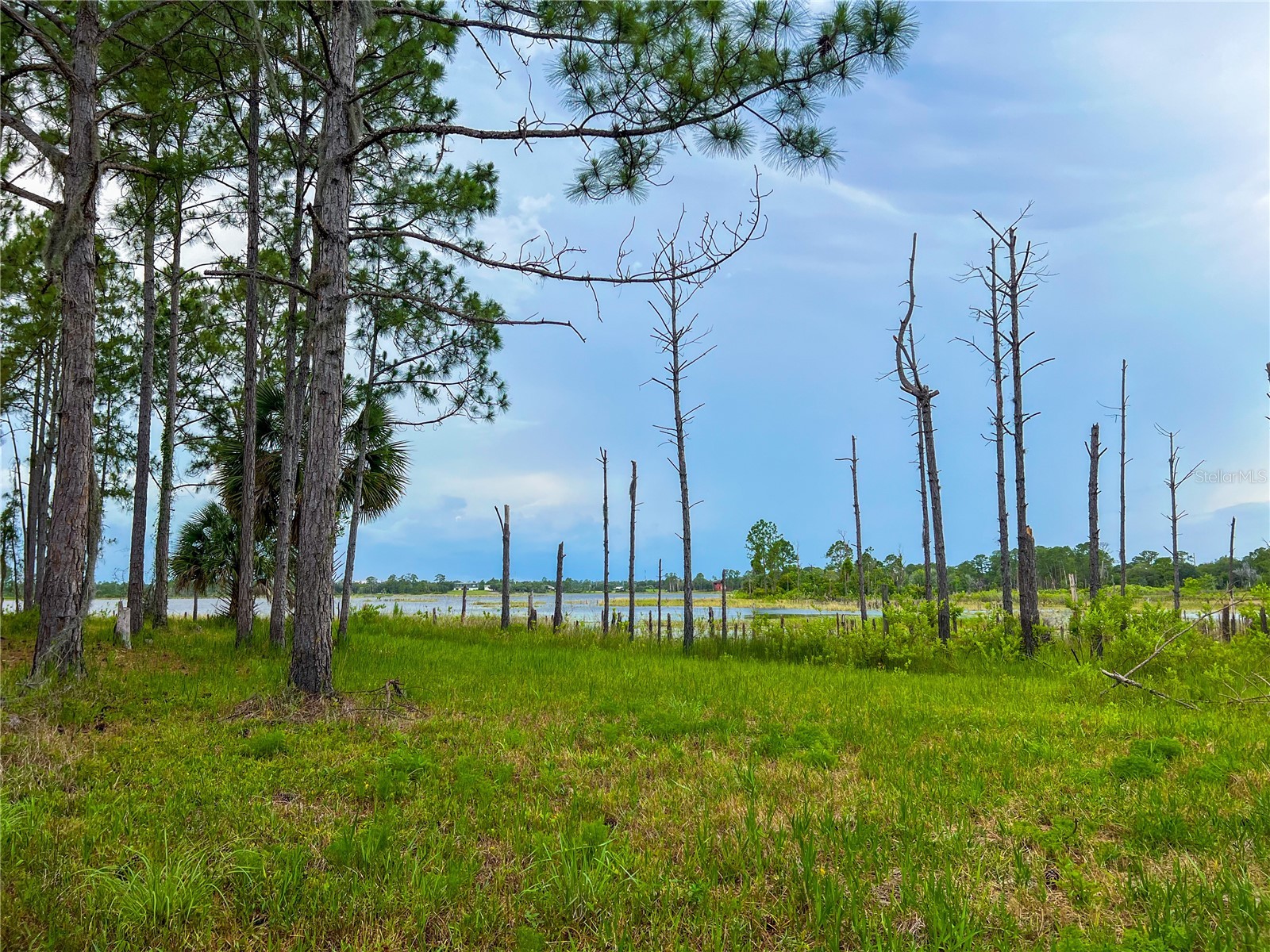 2332 Mitchell Island Road Deltona FL 32738 - DUPONT LAKE S5150914 image6
