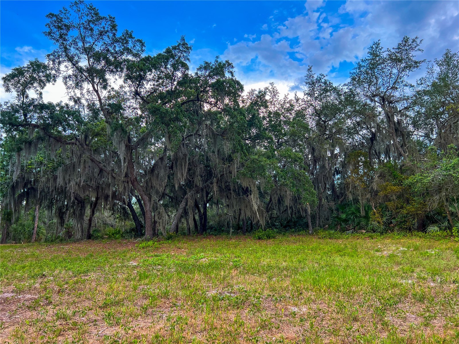 2332 Mitchell Island Road Deltona FL 32738 - DUPONT LAKE S5150914 image7