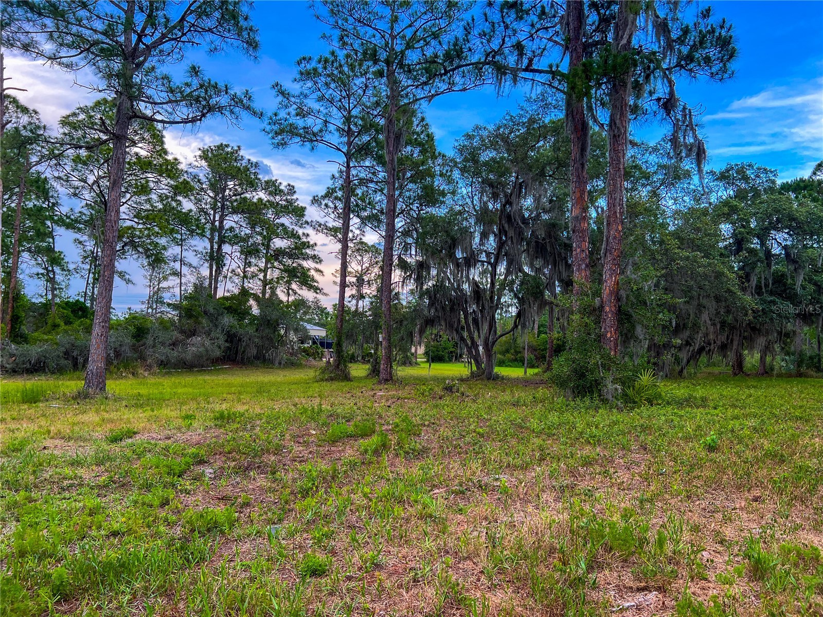 2332 Mitchell Island Road Deltona FL 32738 - DUPONT LAKE S5150914 image8