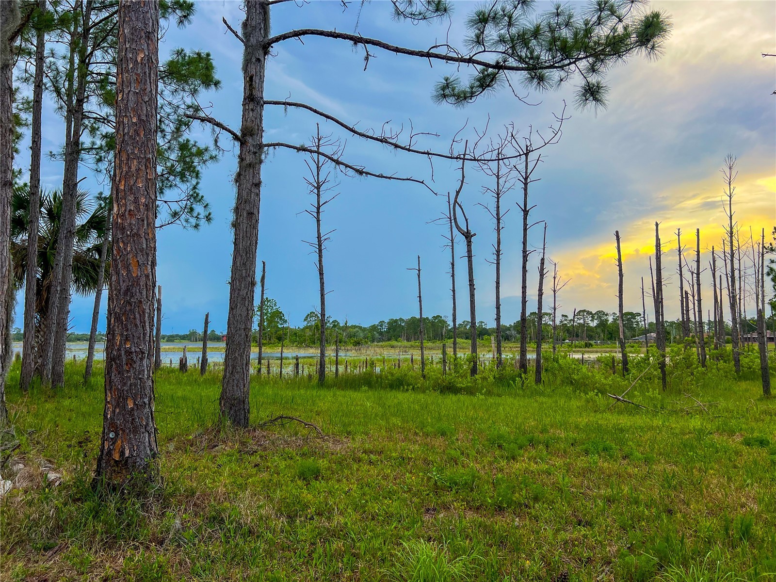 2332 Mitchell Island Road Deltona FL 32738 - DUPONT LAKE S5150914 image9
