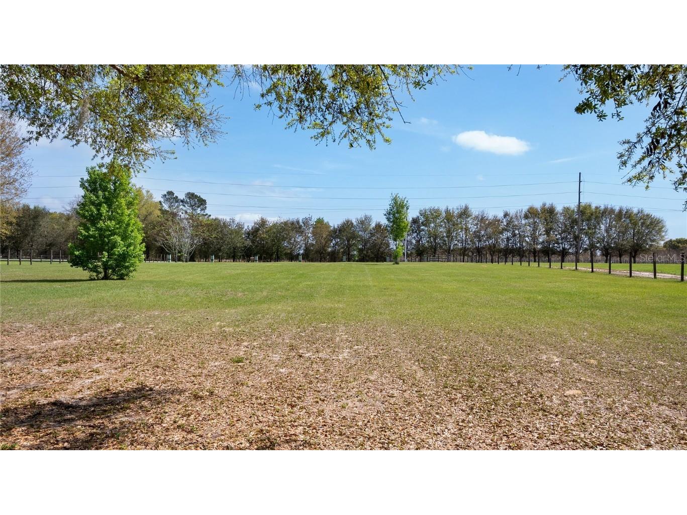 23321 N Buckhill Road Howey In The Hills FL 34737 G5081045 image22