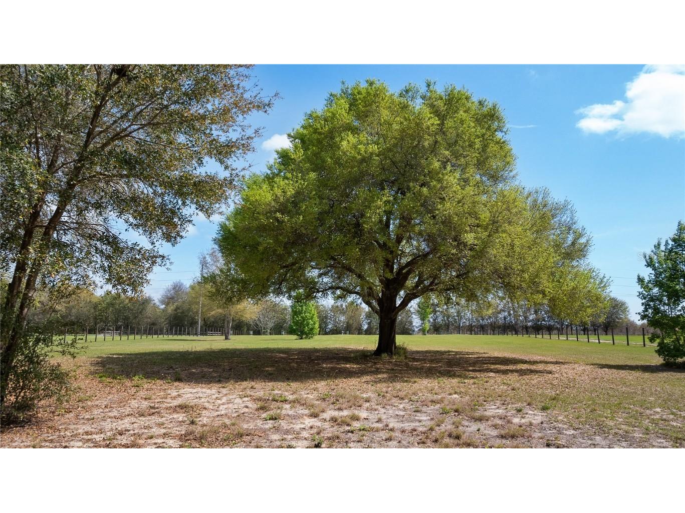 23321 N Buckhill Road Howey In The Hills FL 34737 G5081045 image23