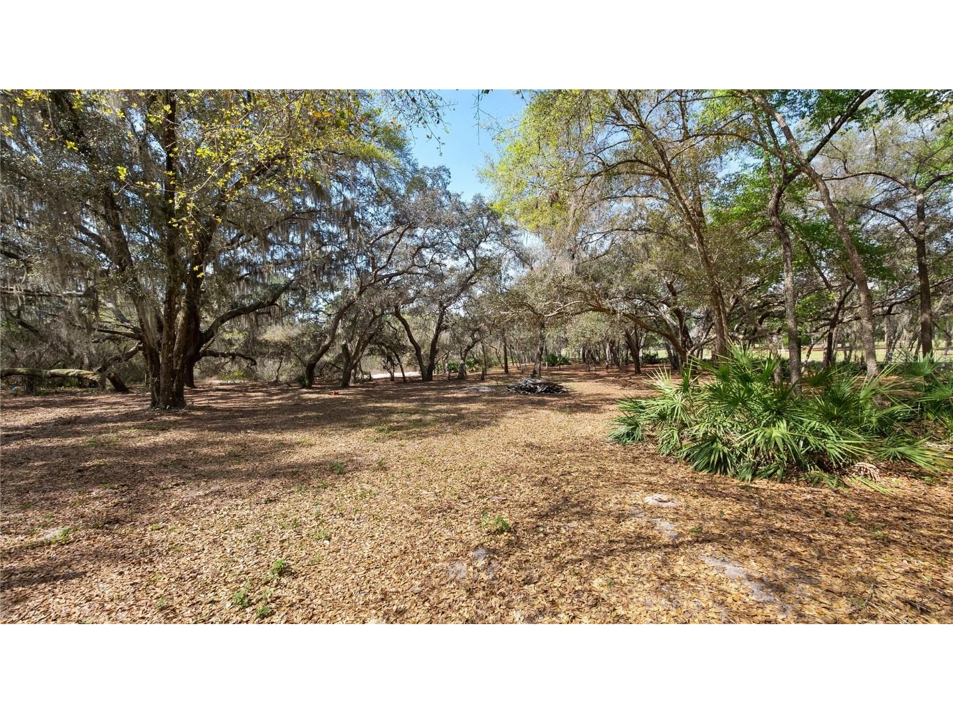 23321 N Buckhill Road Howey In The Hills FL 34737 G5081045 image26