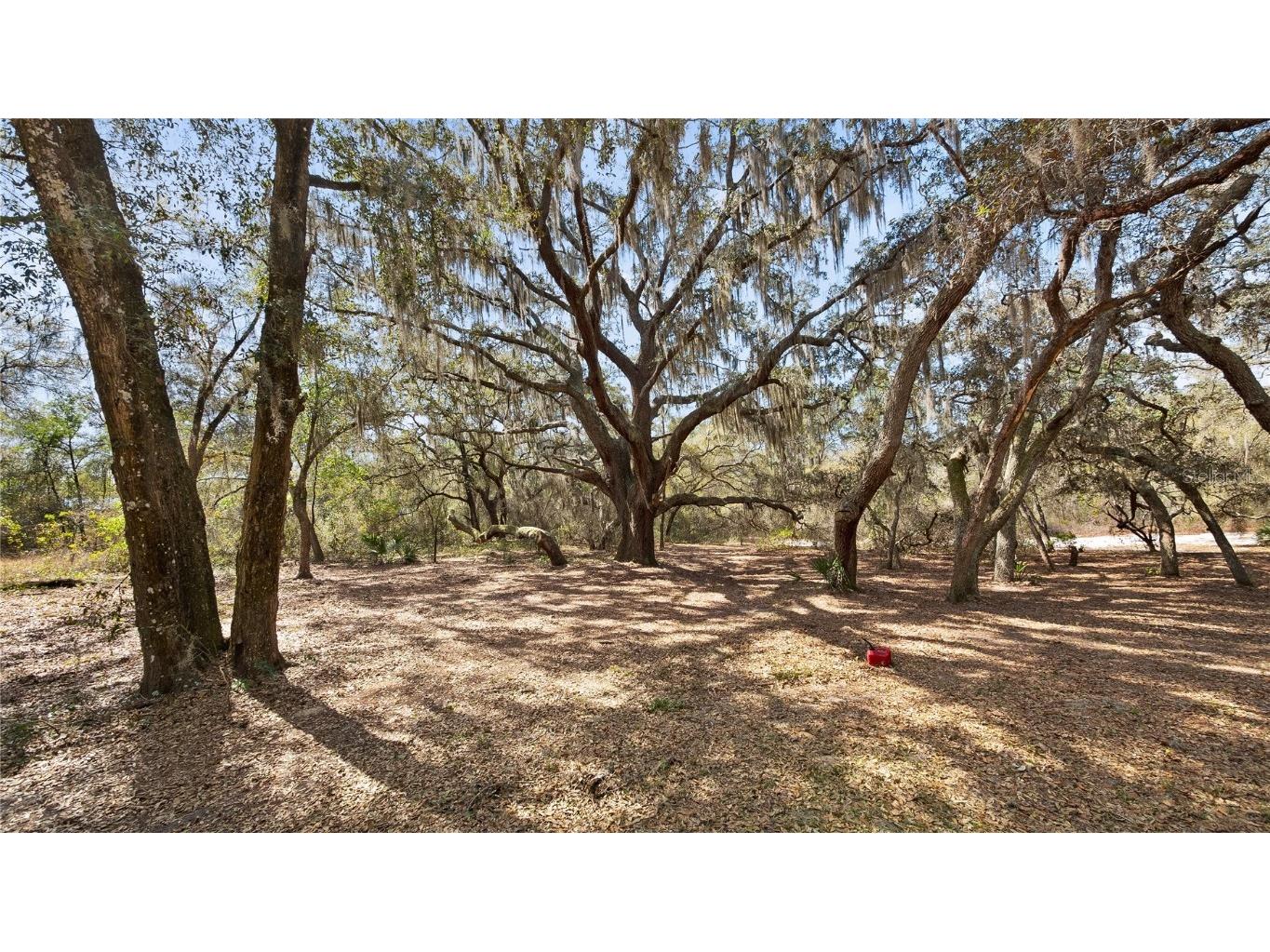 23321 N Buckhill Road Howey In The Hills FL 34737 G5081045 image27