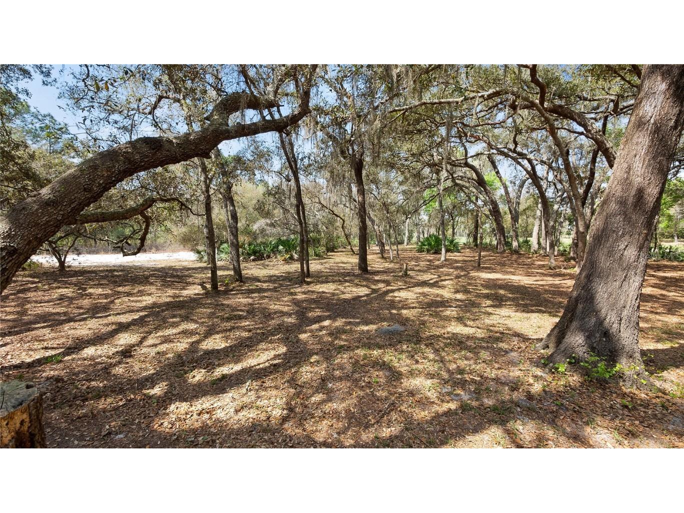 23321 N Buckhill Road Howey In The Hills FL 34737 G5081045 image28