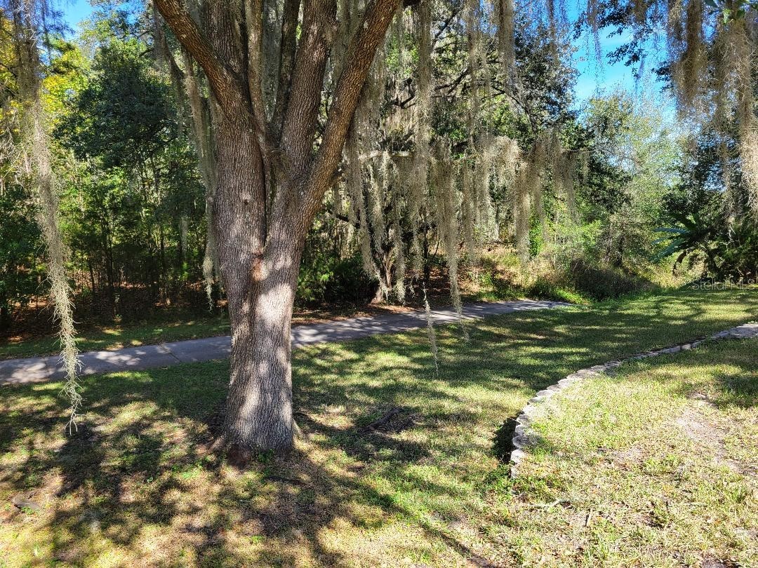 23328 Christian Circle Brooksville FL 34601 TB8453971 image53