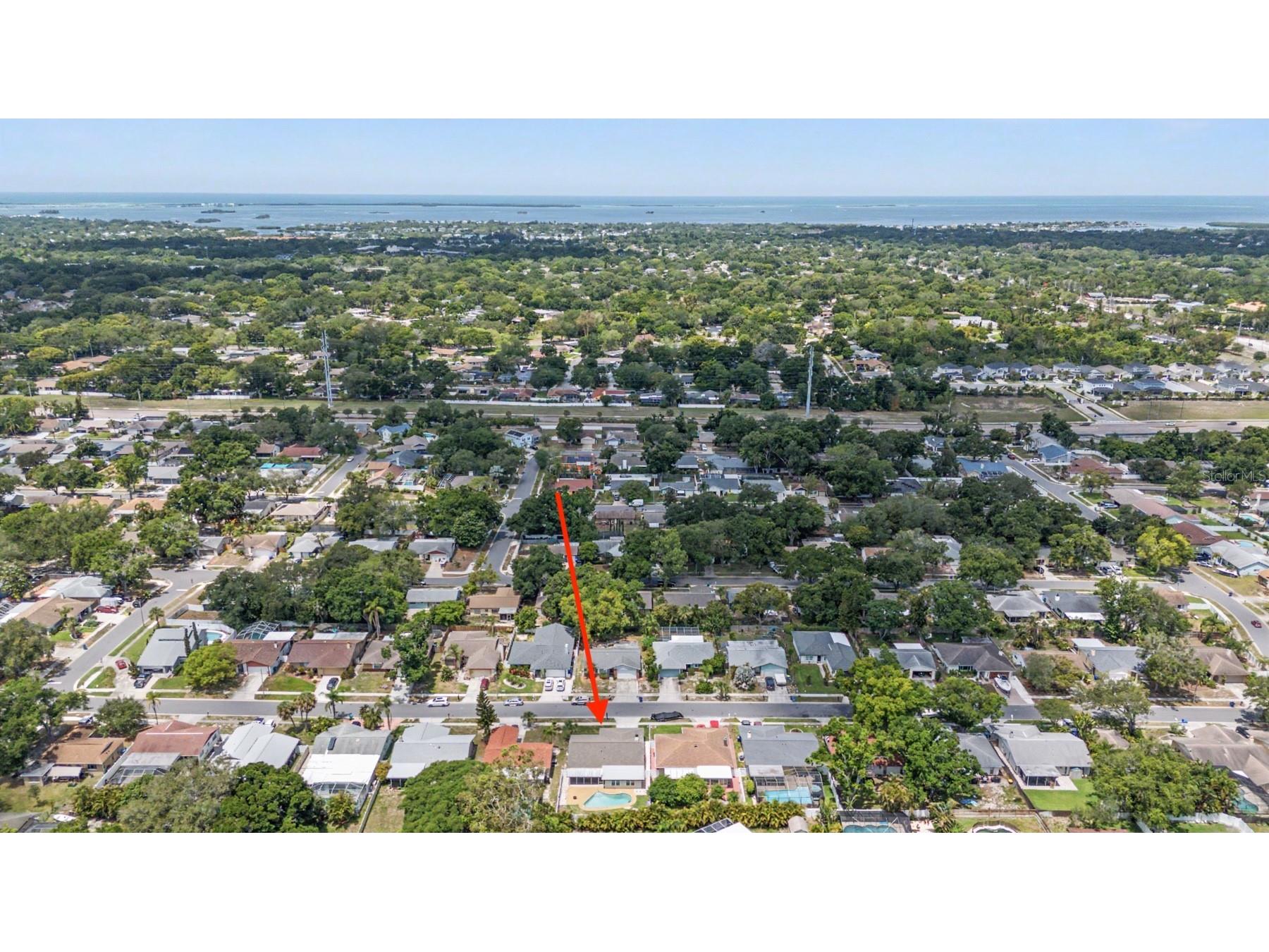 2333 Citrus Hill Road Palm Harbor FL 34683 TB8511233 image30