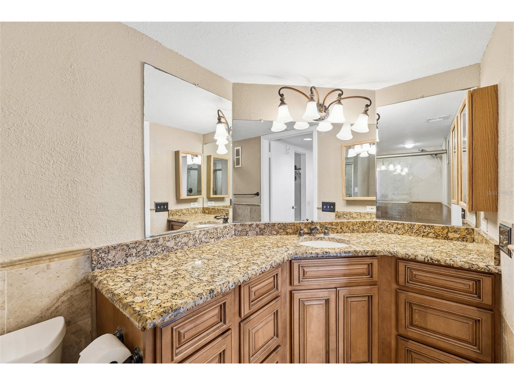 2333 Feather Sound Drive #A101 Clearwater FL 33762 TB8476472 image16