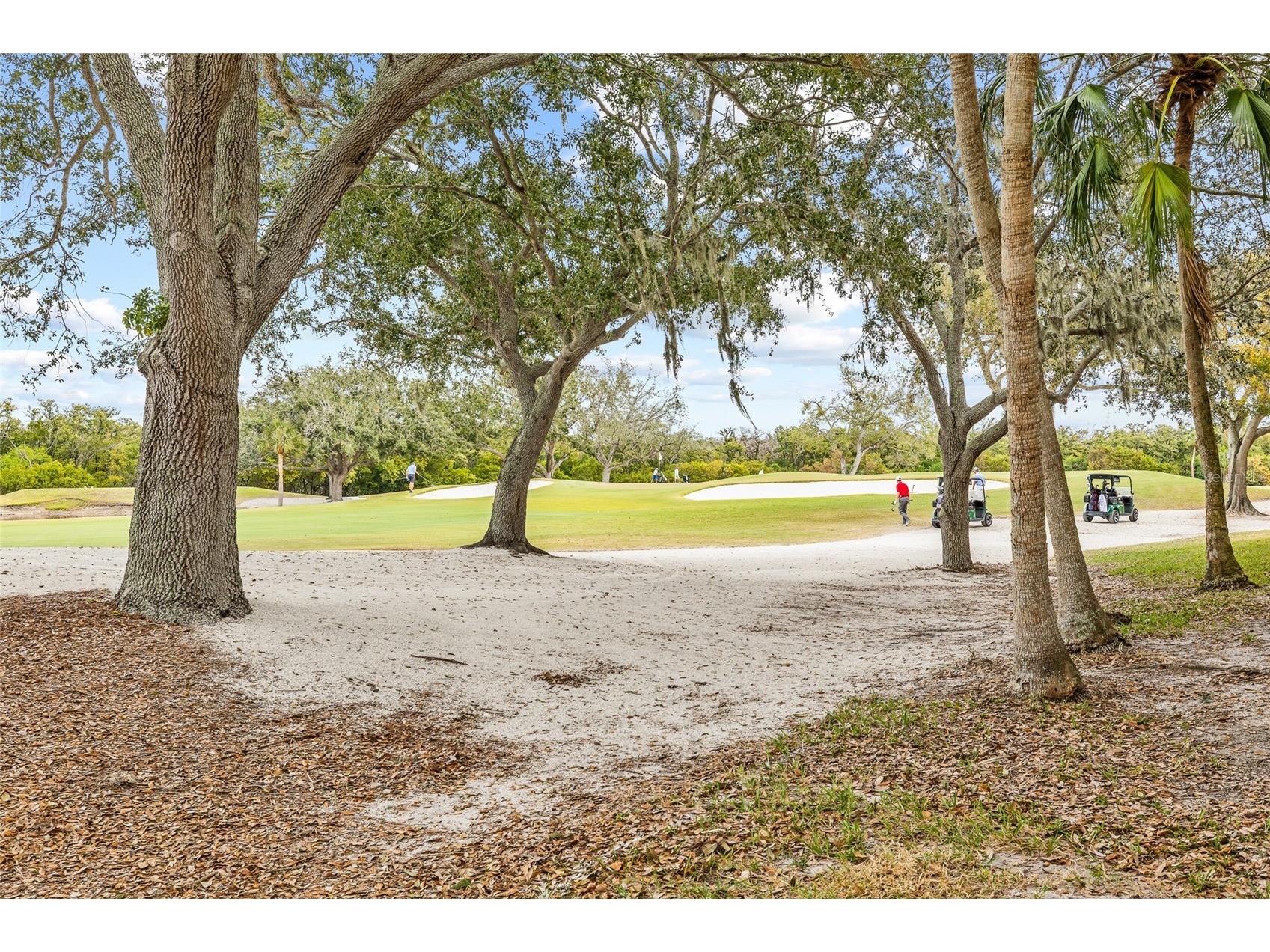 2333 Feather Sound Drive #A101 Clearwater FL 33762 TB8476472 image41