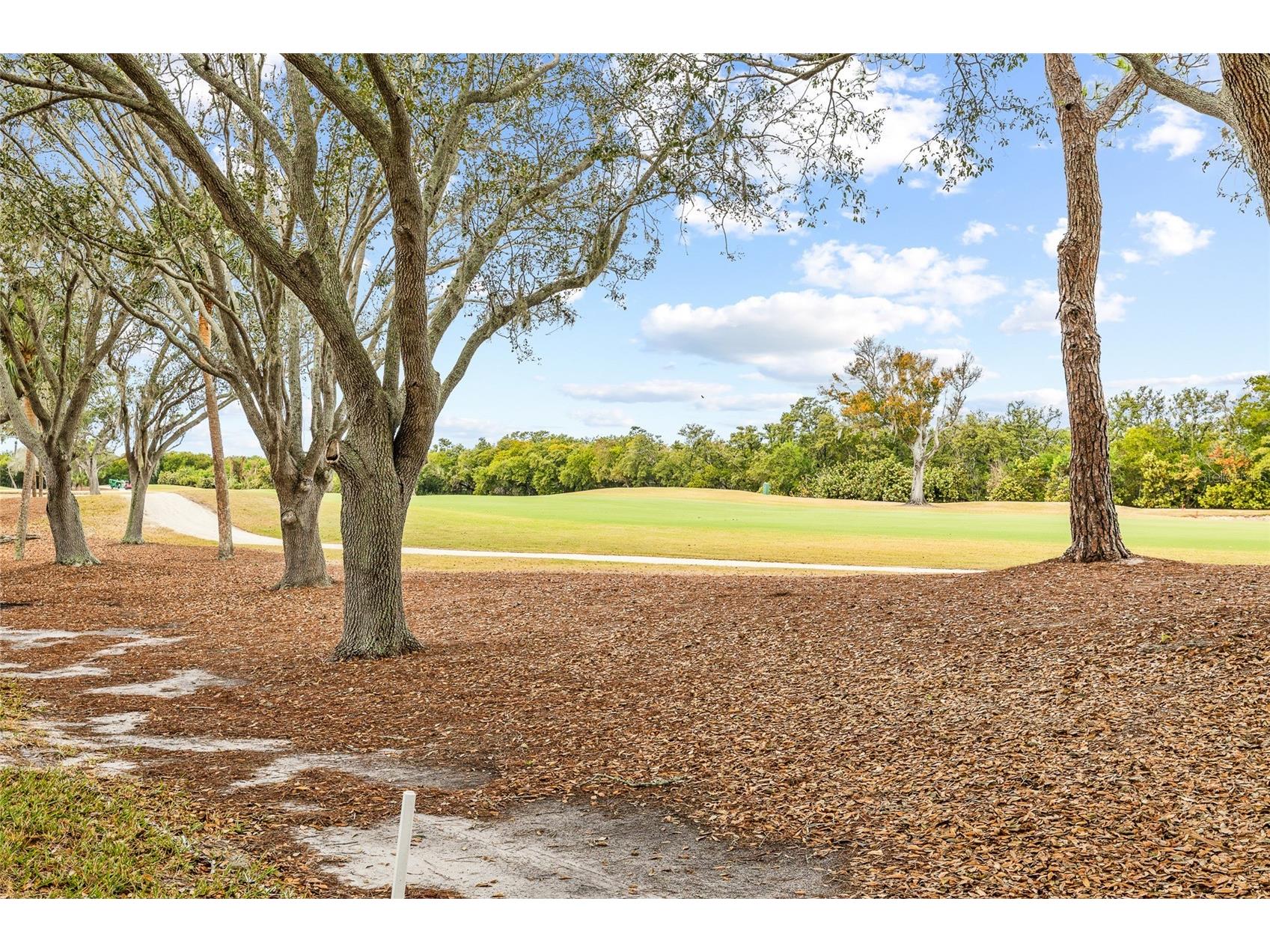 2333 Feather Sound Drive #A101 Clearwater FL 33762 TB8476472 image42