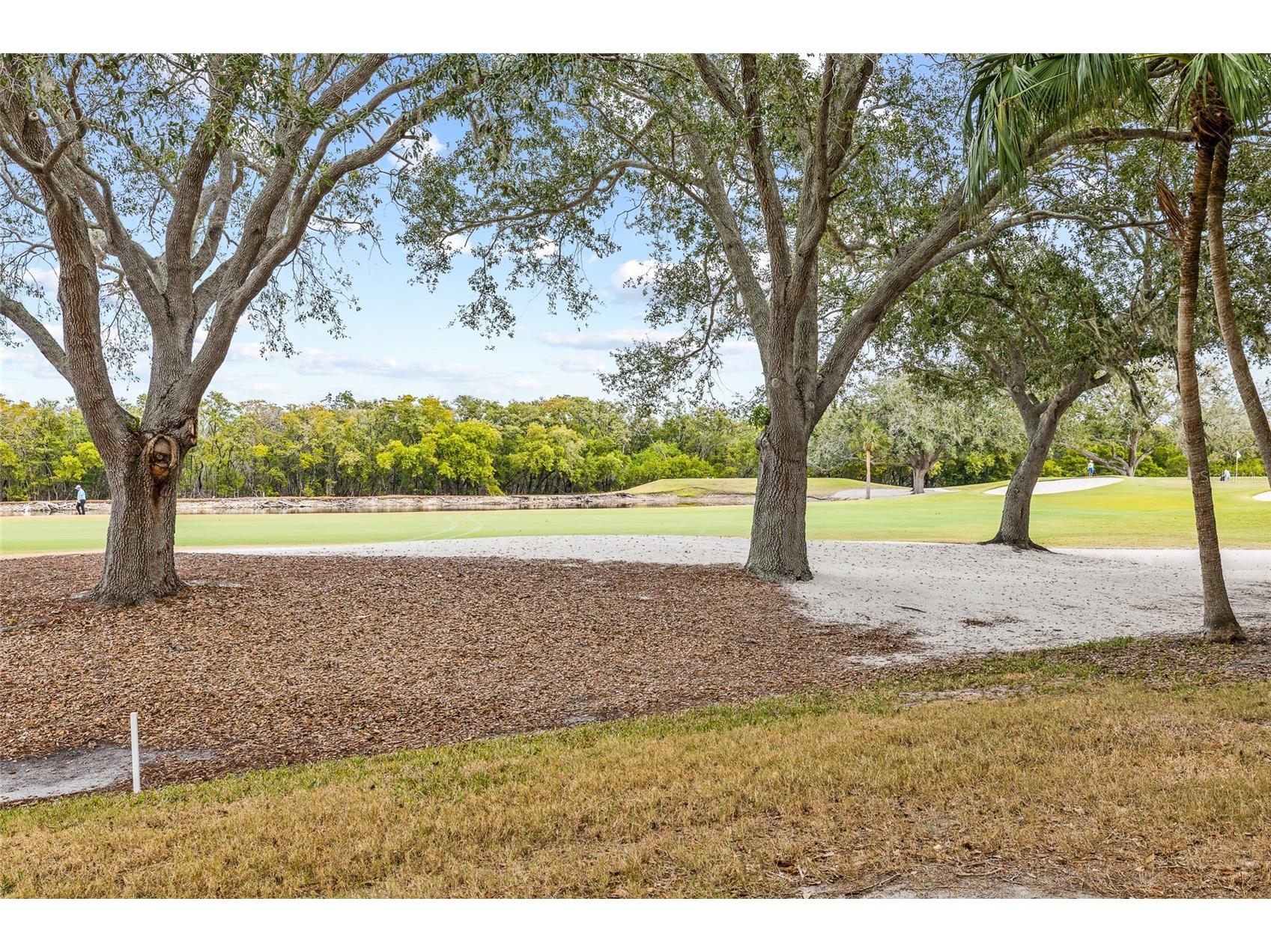 2333 Feather Sound Drive #A101 Clearwater FL 33762 TB8476472 image45