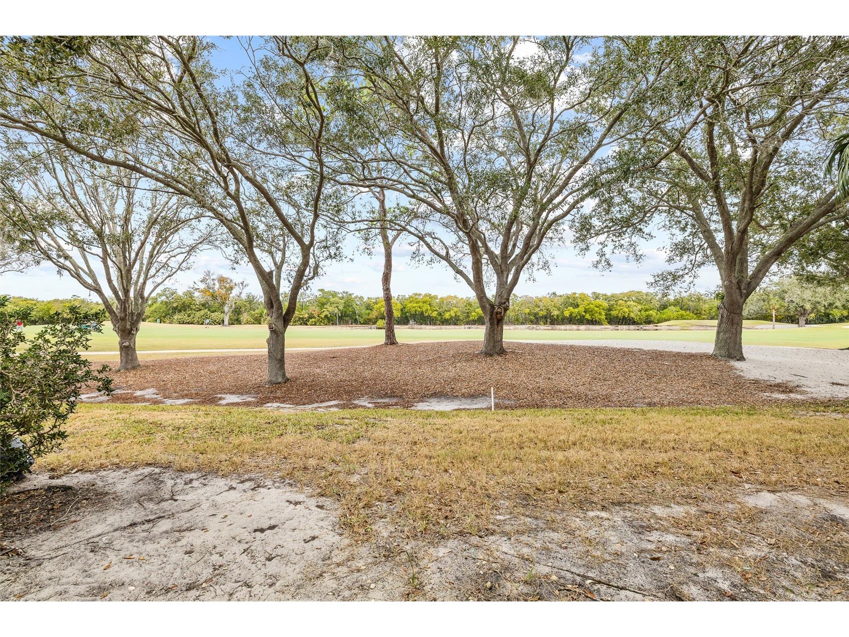 2333 Feather Sound Drive #A101 Clearwater FL 33762 TB8476472 image46