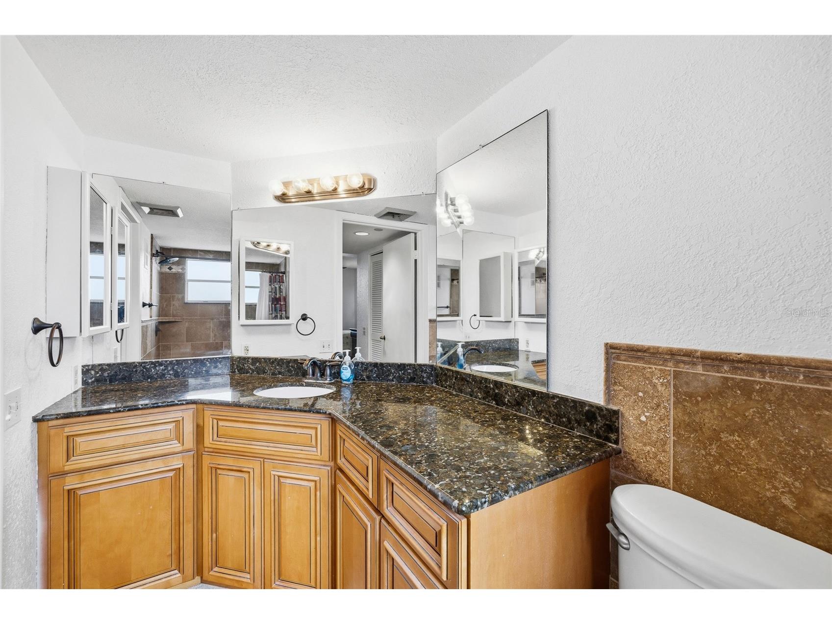 2333 Feather Sound Drive #A101 Clearwater FL 33762 TB8476472 image7