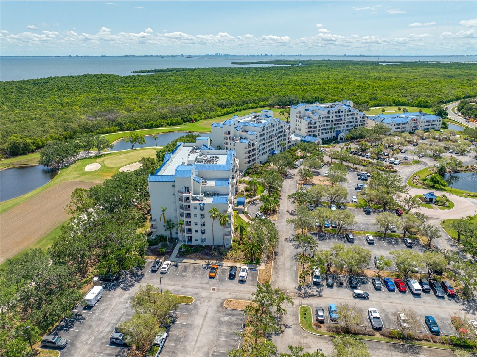 2333 Feather Sound Drive #A107 Clearwater FL 33762 TB8480586 image10