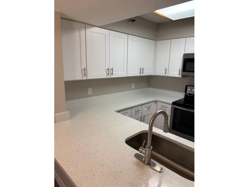 2333 Feather Sound Drive #A107 Clearwater FL 33762 TB8480586 image21