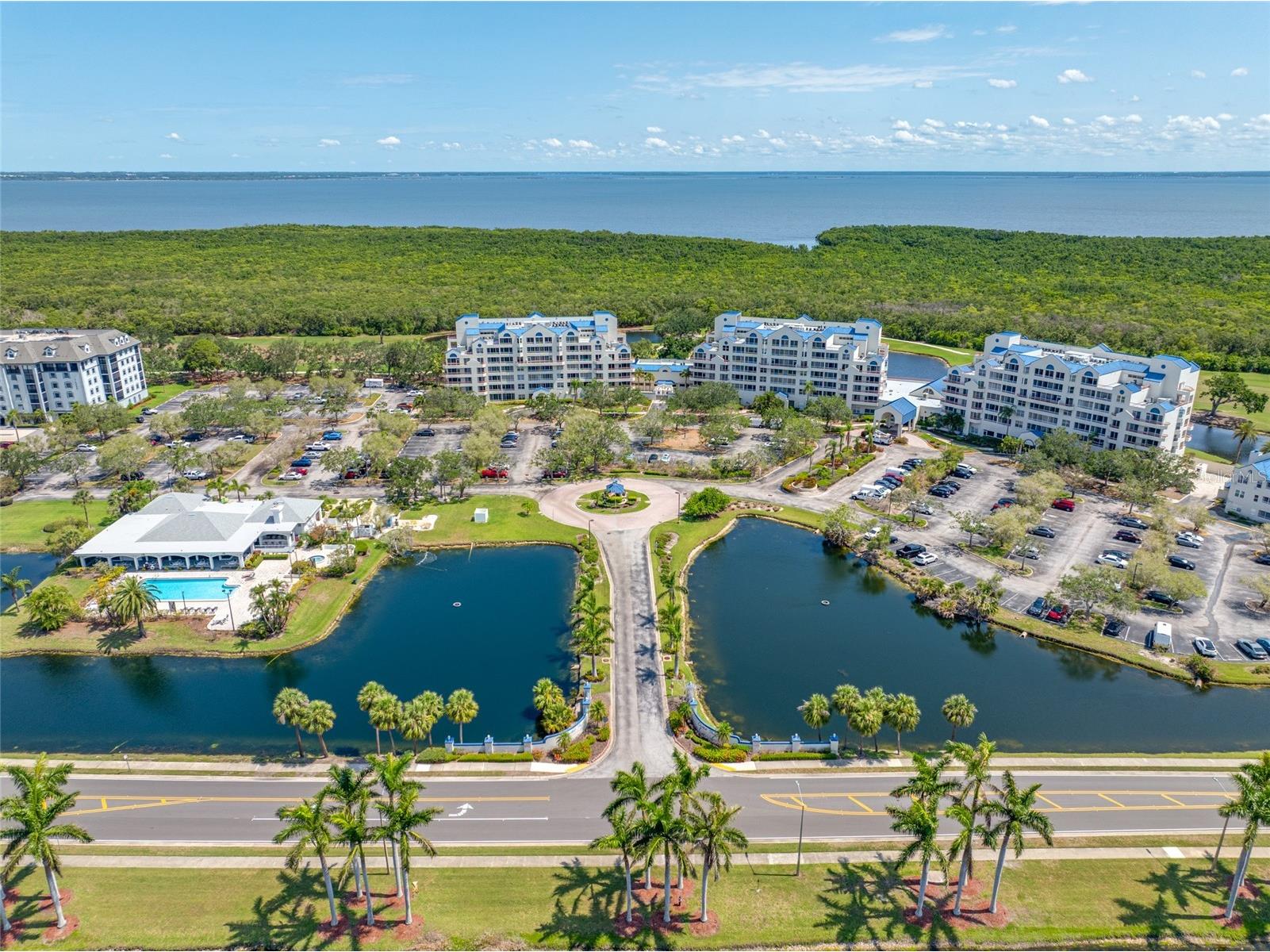 2333 Feather Sound Drive #A107 Clearwater FL 33762 TB8480586 image4